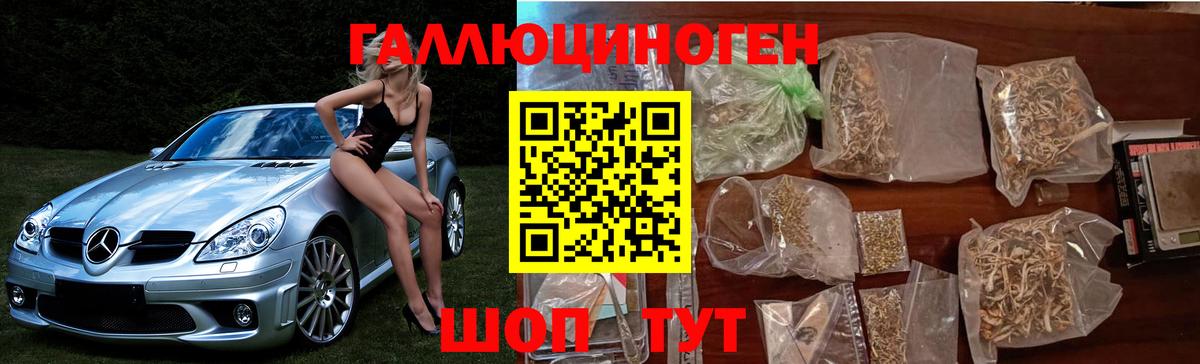 Псилоцибиновые грибы мицелий  Псилоцибиновые грибы Cubensis  Вход с VPN  Гатчина 