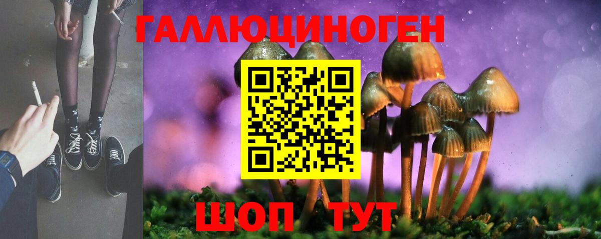 Галлюциногенные грибы мухоморы Гатчина