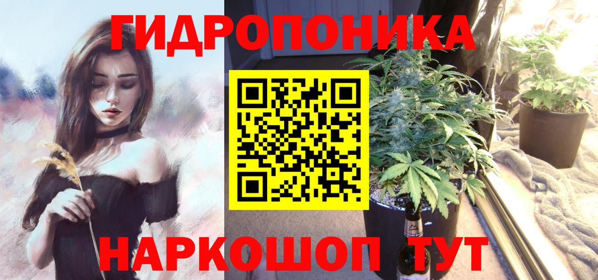 Гатчина  Бошки Шишки SATIVA & INDICA  Бошки Шишки Ganja  Бошки Шишки индика  Каннабис Bruce Banner  Вход с VPN 